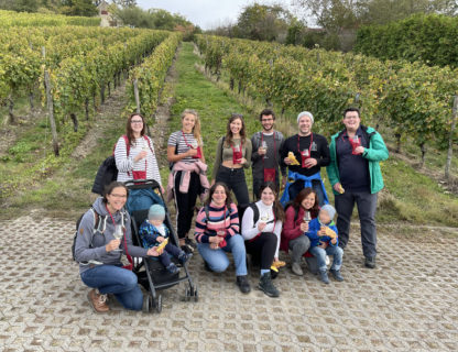 Towards entry "Practical seminar in the vineyards of Veitshöchheim"