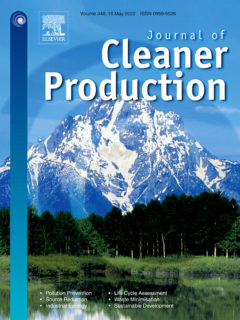 Towards entry "Sustainability and Agility: New Publication in the Journal of Cleaner Production"